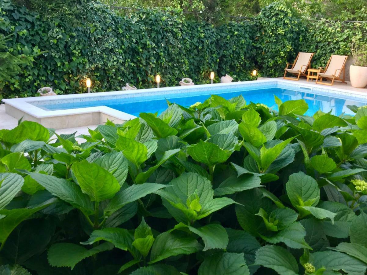 Apartments Pean Tivat Dış mekan fotoğraf